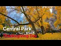 Central Park NYC walk on Thanksgiving