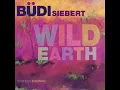 Download Lagu Budi Siebert  — The Beauty Within