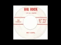 The Vandals - My Girl