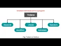 Python Programming Fundamentals Part 1 Class 11 CS