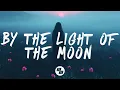 Download Lagu Seven Lions - By the Light of the Moon (Lyrics) feat. Kerli