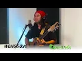 Wonggoys - Wa'y 'Blema (AMUMA Live)