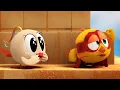 Download Lagu Where's Chicky? Funny Chicky 2023 | SUPER CHICKY | Cartoon in English for Kids | New episodes
