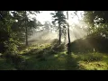 Download Lagu 1-Minute Nature Background Sound