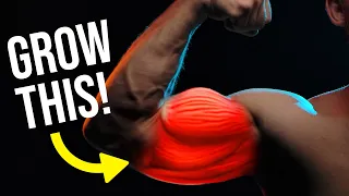 get bigger arms fast advanced technique 
