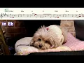 【古見さんは、コミュ症です。】小喋日和【楽譜】Komi Can't Communicate | FantasticYouth サックスで吹いてみた Saxophone Cover [Sheet]