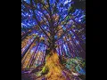 Don't give up  Washed Out Slowed + Reverb