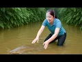 Download Lagu Harvesting Giant Fish Pond To Sell At The Market, Cooking Fish Food | Hanna Daily Life