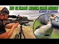 Download Lagu The Ultimate Medium Game Airgun | FX Impact M4 Extended | 34gr Slugs at 1000fps | Airgun Hunting