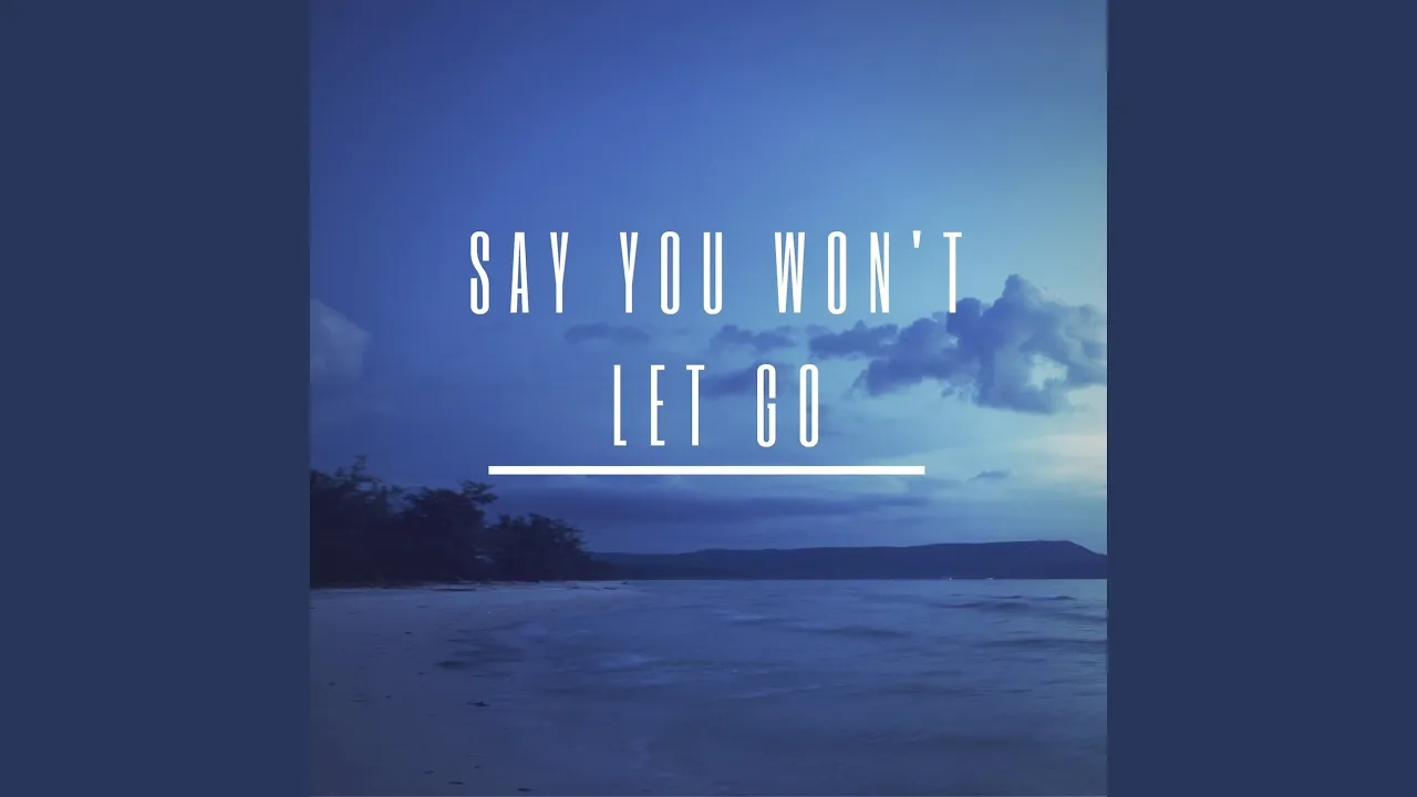 Say U Won't Let Go