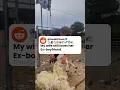 Download Lagu My Wife Still Love Her Ex Boyfriend 🥺💔 Reddit Stories