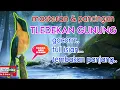 Download Lagu masteran dan pancingan suara tledekan gunung full isian mewah