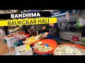 Download Lagu 50 YILLIK BALIKÇIDAN TAZE BALIK ANLAMA TÜYOLARI .Bandırma Balıkçılar Hali -14 Ekim 2025-#keşfet #fyp