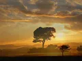 Winter Light - Linda Ronstadt.wmv