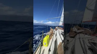 Land Ho after 21 days at Sea!!! 👀🏝️