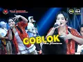 Download Lagu GOBLOK - ICHA KISWARA - OM SAVANA SAKJOSE