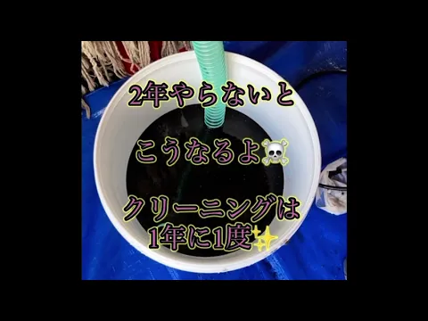 【深夜対応】【完全分解】【３種３重洗浄】