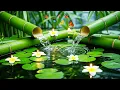 Relaxation Music: Bamboo Water Fountain + Healing Piano 🌿 Sleep Music, Meditation, Nature Sounds