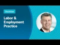 Labor Employment - Practice overview