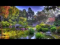 CFCF - You Hear Colours (HD)