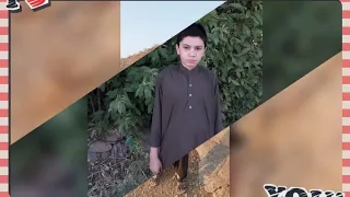                          دندنها