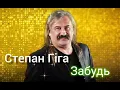 Степан Гіга - Забудь