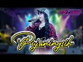 Download Lagu PUJANINGSIH || RINDI SAFIRA (OFFICIAL LIVE MUSIC) NEW ASTINA  MP PRODUCTION