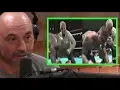 Joe Rogan Analyzes the Controversial Tyson Douglas 10 count