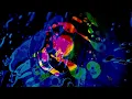 All Them Witches - Turn On The Light (Official Visualizer)