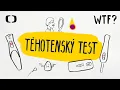 Download Lagu Jak vznikly těhotenské testy? | What the Fact?