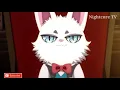 Infinite Dendogram AMV Impossible