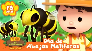 ¡Celebra el Día Nacional de la Abeja de la Miel con Leo! | Leo, El Explorador | Animación