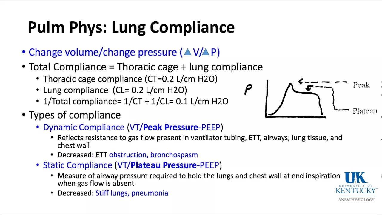 University of Kentucky Anesthesiology RespiratoryThoracic Keyword Review Part 2 of 3 (Dr. Schell)