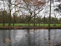 Belair Park Wikipedia article