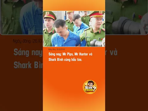 Sáng nay Mr Pips, Mr Hunter và Shark Bình cùng hầu tòa.