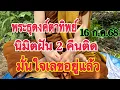 Download Lagu #พระธุดงค์ตาทิพย์ นิมิตฝัน 2 คืนติด มั่นใจเลขชุดนี้ลงทุนได้ ออกแน่ 16 ก.ค.68
