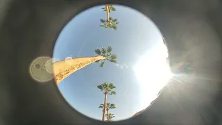 LemKuuja Dahab Music Video  LemKuuja Dahab Music Video