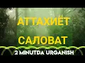 Download Lagu АТТАХИЯТ И  САЛАВАТ  Осон ва тез урганш.
