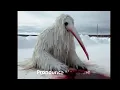 Download Lagu bird of the future
