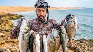 مفاجأة غير متوقعة تحت الماء! 🚨 | !Unexpected Underwater Surprise