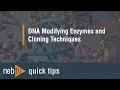 Quick Tips - How do I calculate how much DNA to add to a ligation reaction