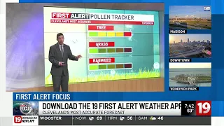 First Alert Focus Will the pollen count affect your allergies this week