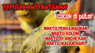 Download MASTERAN MANTENAN || MASTERAN PLECI NEMBAK MANTENAN || MP3