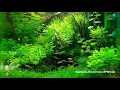 Download Lagu Нежный и крепкий СОН, глубокий релакс и успокоение нервной системы