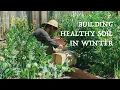 Download Lagu Simple ways to fertilize your vegetable garden in winter ｜Bokashi compost, Winter cover crops