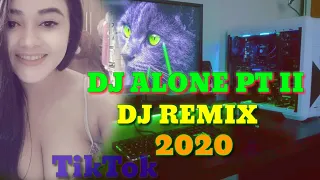 Download DJ TIKTOK VIRAL 🎧 (Nungguin yaa) DJ ALONE part II santuy| Remix full Bass Terbaru 2020 MP3