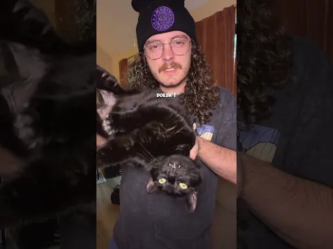 Can I hold any cat upside down