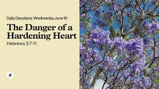 The Danger of a Hardening Heart - Daily Devotional