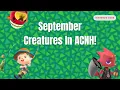 September Creatures In Animal Crossing New Horizons