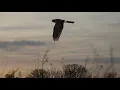 Legacy A LandLab Story